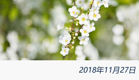 welcome大发系统-追求康健,你我一起生长