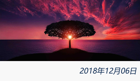 welcome大发系统-追求康健,你我一起生长