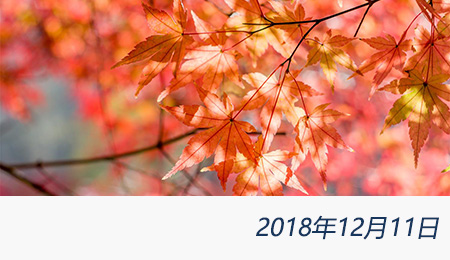 welcome大发系统-追求康健,你我一起生长