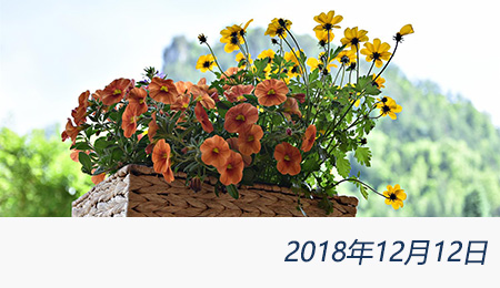 welcome大发系统-追求康健,你我一起生长