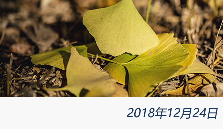 welcome大发系统-追求康健,你我一起生长