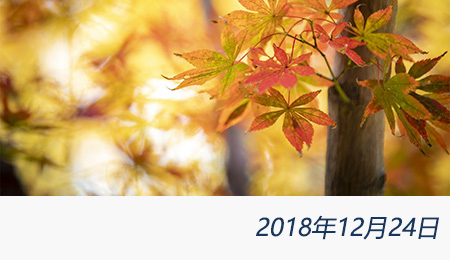 welcome大发系统-追求康健,你我一起生长