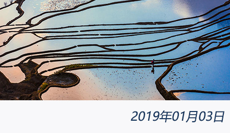 welcome大发系统-追求康健,你我一起生长