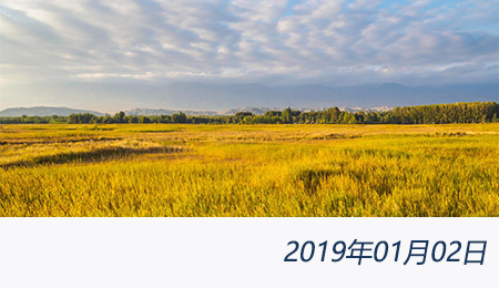 welcome大发系统-追求康健,你我一起生长