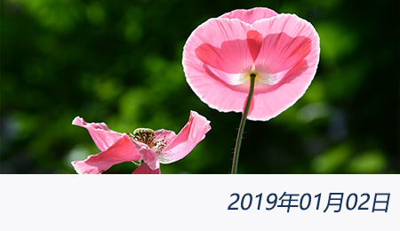 welcome大发系统-追求康健,你我一起生长