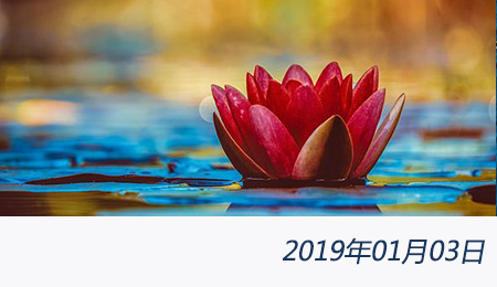 welcome大发系统-追求康健,你我一起生长