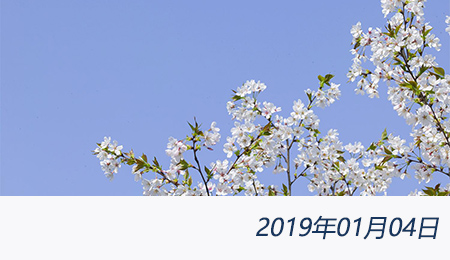 welcome大发系统-追求康健,你我一起生长