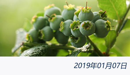 welcome大发系统-追求康健,你我一起生长