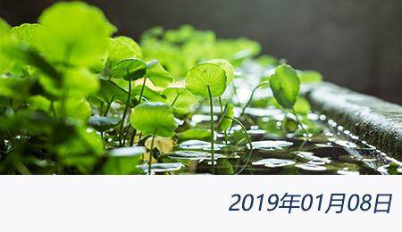 welcome大发系统-追求康健,你我一起生长