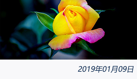 welcome大发系统-追求康健,你我一起生长