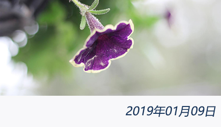 welcome大发系统-追求康健,你我一起生长