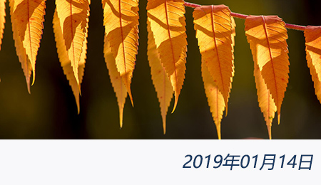 welcome大发系统-追求康健,你我一起生长