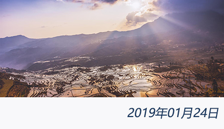 welcome大发系统-追求康健,你我一起生长