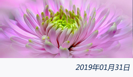 welcome大发系统-追求康健,你我一起生长