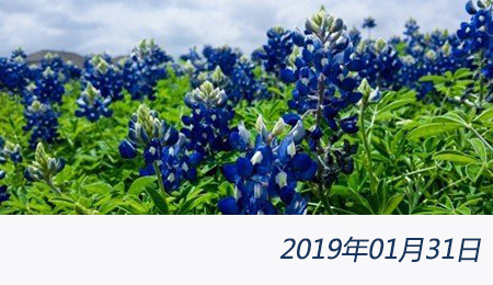 welcome大发系统-追求康健,你我一起生长