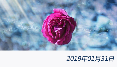 welcome大发系统-追求康健,你我一起生长