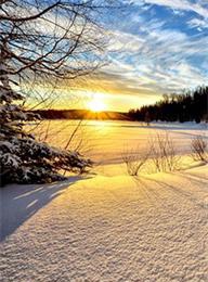 welcome大发系统-追求康健,你我一起生长