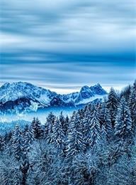 welcome大发系统-追求康健,你我一起生长