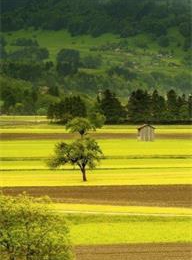 welcome大发系统-追求康健,你我一起生长