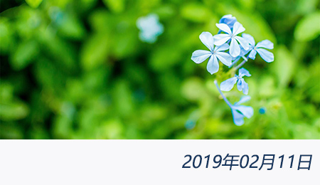 welcome大发系统-追求康健,你我一起生长