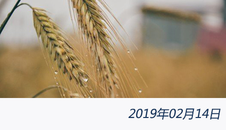 welcome大发系统-追求康健,你我一起生长