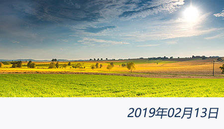 welcome大发系统-追求康健,你我一起生长