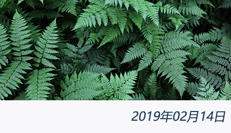 welcome大发系统-追求康健,你我一起生长