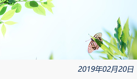 welcome大发系统-追求康健,你我一起生长