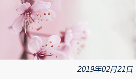 welcome大发系统-追求康健,你我一起生长