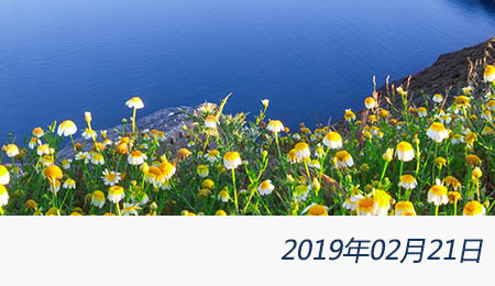 welcome大发系统-追求康健,你我一起生长