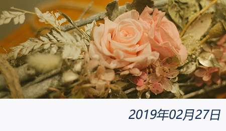 welcome大发系统-追求康健,你我一起生长