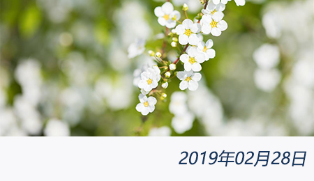 welcome大发系统-追求康健,你我一起生长