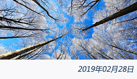 welcome大发系统-追求康健,你我一起生长