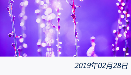 welcome大发系统-追求康健,你我一起生长