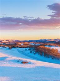 welcome大发系统-追求康健,你我一起生长