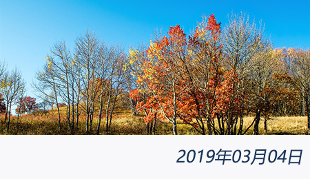 welcome大发系统-追求康健,你我一起生长