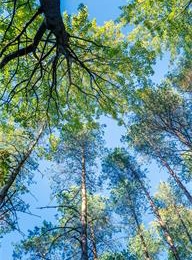 welcome大发系统-追求康健,你我一起生长