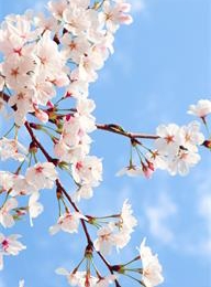 welcome大发系统-追求康健,你我一起生长