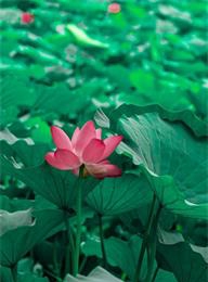 welcome大发系统-追求康健,你我一起生长