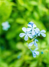 welcome大发系统-追求康健,你我一起生长