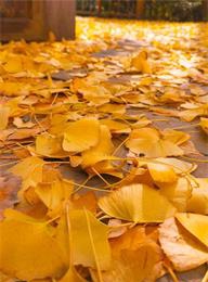 welcome大发系统-追求康健,你我一起生长