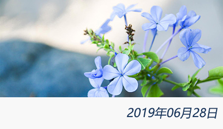 welcome大发系统-追求康健,你我一起生长