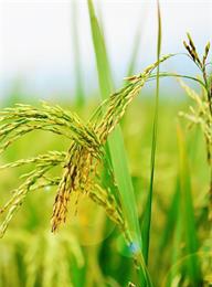 welcome大发系统-追求康健,你我一起生长