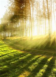 welcome大发系统-追求康健,你我一起生长