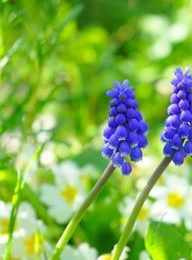 welcome大发系统-追求康健,你我一起生长