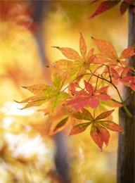 welcome大发系统-追求康健,你我一起生长