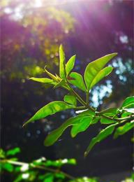 welcome大发系统-追求康健,你我一起生长