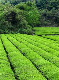 welcome大发系统-追求康健,你我一起生长