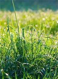 welcome大发系统-追求康健,你我一起生长