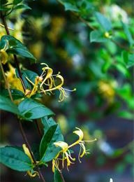 welcome大发系统-追求康健,你我一起生长